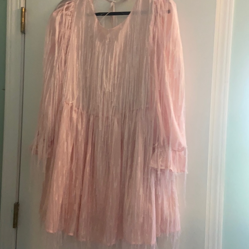 Sister Jane Fringe Mini Dress